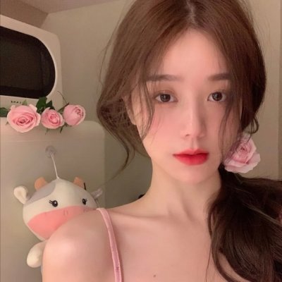 完美盗贼