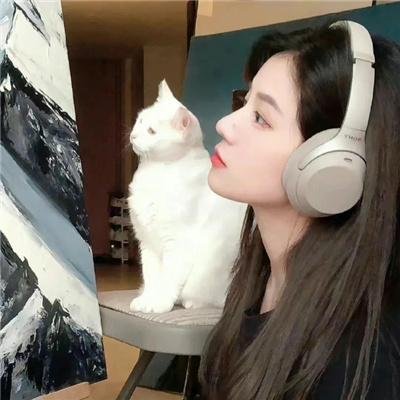 唐老鸭和大猩猩